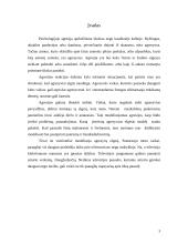 Paauglių agresija 3 puslapis