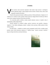 Paskolos sutartis 2 puslapis