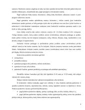 Paskolos sutartis 4 puslapis