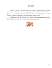 Paskolos sutartis 10 puslapis