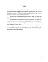 Filosofija Platono "Valstybėje" 2 puslapis