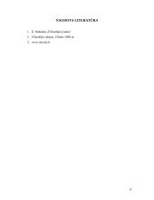 Filosofija Platono "Valstybėje" 8 puslapis