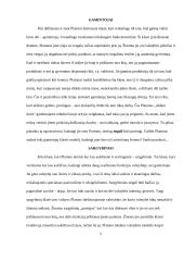 Valstybės samprata pagal Platoną 2 puslapis