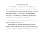 Valstybės samprata pagal Platoną 4 puslapis