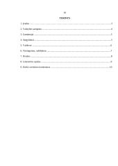 Valstybės samprata pagal Platoną 8 puslapis