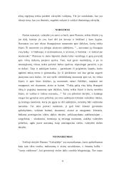 Platono keturių dorybių teorija 5 puslapis