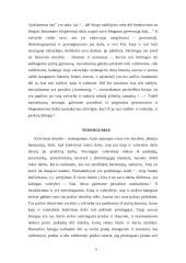 Platono keturių dorybių teorija 6 puslapis