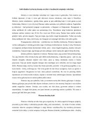 Platono valstybės modelis 4 puslapis