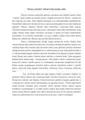 Platono valstybės modelis 7 puslapis