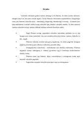 Platono valstybės modelis 8 puslapis