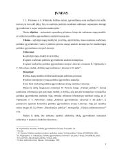 Politikos įgyvendinimas. Etapų modelis, jo kritika 2 puslapis