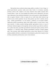 Politikos įgyvendinimas. Etapų modelis, jo kritika 11 puslapis