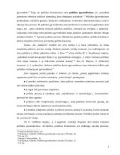 Politikos įgyvendinimas. Etapų modelis, jo kritika 4 puslapis