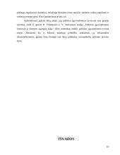 Politikos įgyvendinimas. Etapų modelis, jo kritika 10 puslapis