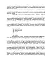 Prievolės esmė civilinėje teisėje 13 puslapis