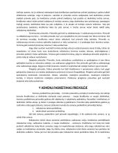 Prievolės esmė civilinėje teisėje 14 puslapis