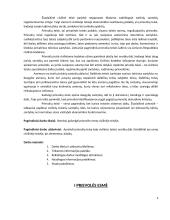 Prievolės esmė civilinėje teisėje 3 puslapis