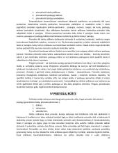 Prievolės esmė civilinėje teisėje 10 puslapis