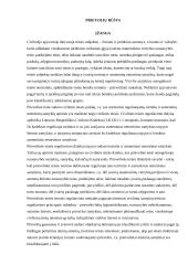 Prievolių rūšys 2 puslapis