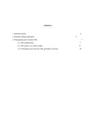 Prisijungimas prie interneto DSL 2 puslapis