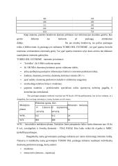 Prisijungimas prie interneto DSL 11 puslapis