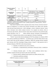 Prisijungimas prie interneto DSL 10 puslapis