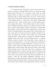 Privatūs ir viešieji juridiniai asmenys, jų panašumai bei skirtumai 12 puslapis