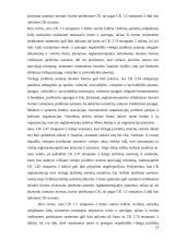 Privatūs ir viešieji juridiniai asmenys, jų panašumai bei skirtumai 13 puslapis