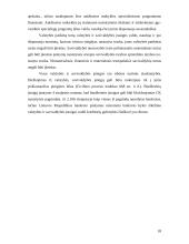 Privatūs ir viešieji juridiniai asmenys, jų panašumai bei skirtumai 18 puslapis