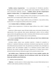 Viešieji ir privatieji juridiniai asmenys 11 puslapis