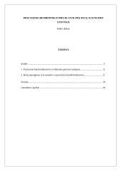 Procesinio bendrininkavimo ir bylų sujungimo santykis 1 puslapis