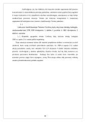 Procesinio bendrininkavimo ir bylų sujungimo santykis 15 puslapis