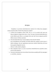 Procesinio bendrininkavimo ir bylų sujungimo santykis 16 puslapis