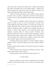 Psichikos samprata. Psichikos struktūra 3 puslapis