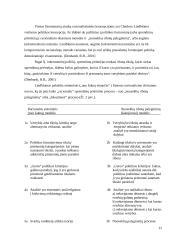 Racionalusis organizacijų modelis 12 puslapis