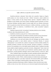 Racionalusis organizacijų modelis 13 puslapis