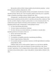 Racionalusis organizacijų modelis 14 puslapis