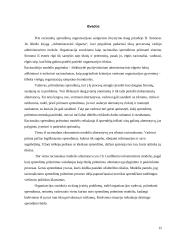 Racionalusis organizacijų modelis 15 puslapis