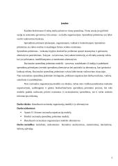 Racionalusis organizacijų modelis 3 puslapis