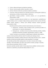 Racionalusis organizacijų modelis 6 puslapis