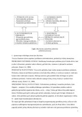 Racionalusis organizacijų modelis 7 puslapis