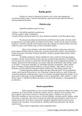 Rankų ir plaštakų gestai 4 puslapis