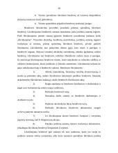 Ribotos ir neribotos civilinės atsakomybės juridiniai asmenys 20 puslapis