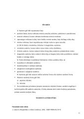 Sandoriai ir sandorių formos 11 puslapis