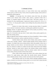 Sandoriai ir sandorių formos 3 puslapis