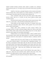 Sandoriai ir sandorių formos 4 puslapis