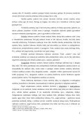 Sandoriai ir sandorių formos 6 puslapis