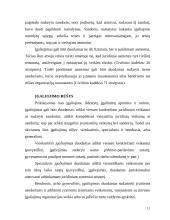 Sandorių sudarymas kito asmens vardu neturint įgalinimų ar juos viršijant 11 puslapis