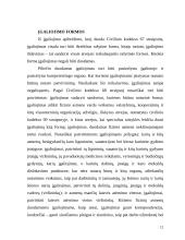 Sandorių sudarymas kito asmens vardu neturint įgalinimų ar juos viršijant 12 puslapis