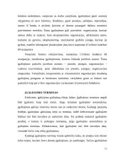 Sandorių sudarymas kito asmens vardu neturint įgalinimų ar juos viršijant 13 puslapis